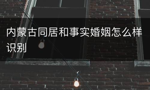 内蒙古同居和事实婚姻怎么样识别