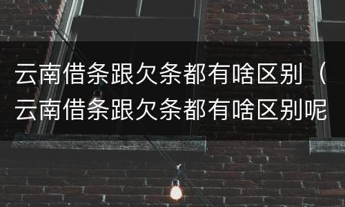 云南借条跟欠条都有啥区别（云南借条跟欠条都有啥区别呢）