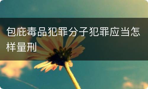 包庇毒品犯罪分子犯罪应当怎样量刑