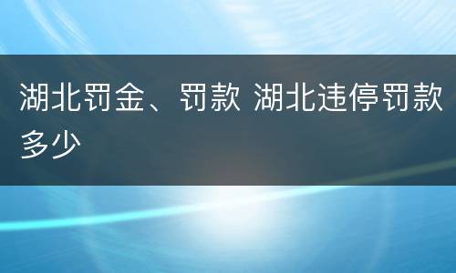 湖北罚金、罚款 湖北违停罚款多少