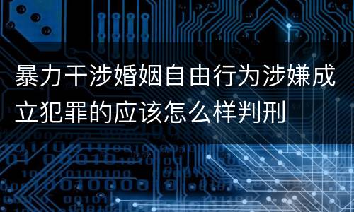 暴力干涉婚姻自由行为涉嫌成立犯罪的应该怎么样判刑