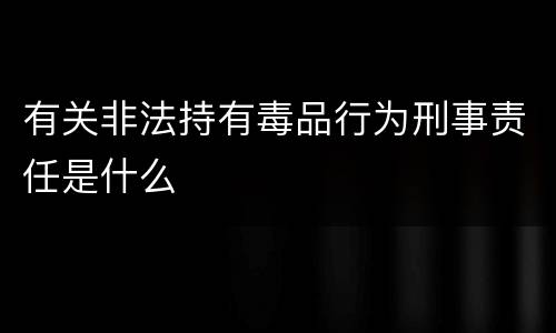 有关非法持有毒品行为刑事责任是什么
