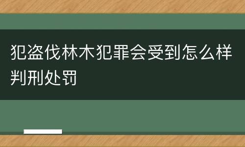 犯盗伐林木犯罪会受到怎么样判刑处罚