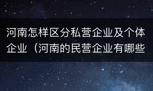 河南怎样区分私营企业及个体企业（河南的民营企业有哪些）