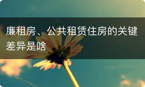 廉租房、公共租赁住房的关键差异是啥