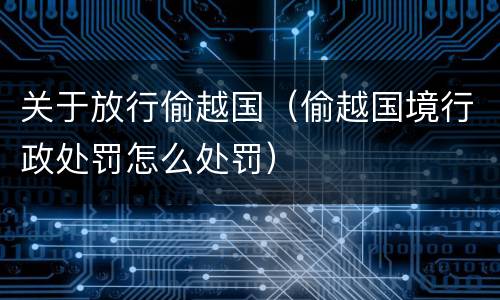 关于放行偷越国（偷越国境行政处罚怎么处罚）