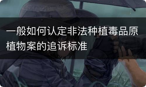 一般如何认定非法种植毒品原植物案的追诉标准