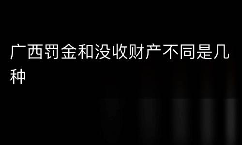 广西罚金和没收财产不同是几种