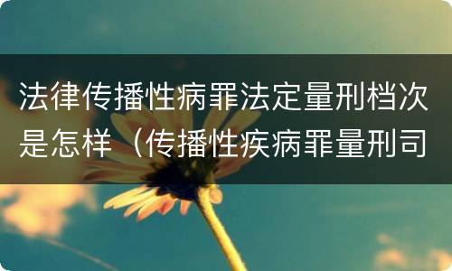 法律传播性病罪法定量刑档次是怎样（传播性疾病罪量刑司法解释）