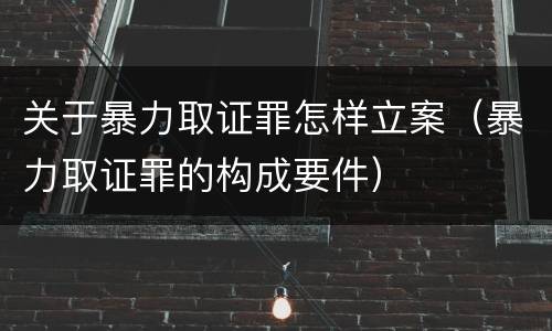 关于暴力取证罪怎样立案（暴力取证罪的构成要件）