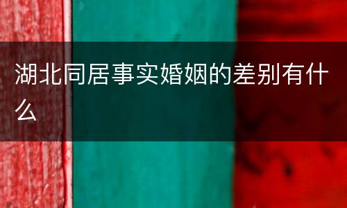 湖北同居事实婚姻的差别有什么