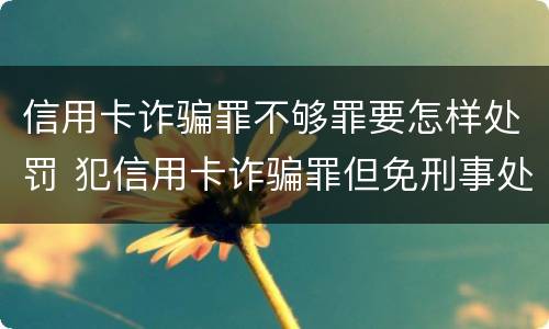 信用卡诈骗罪不够罪要怎样处罚 犯信用卡诈骗罪但免刑事处罚