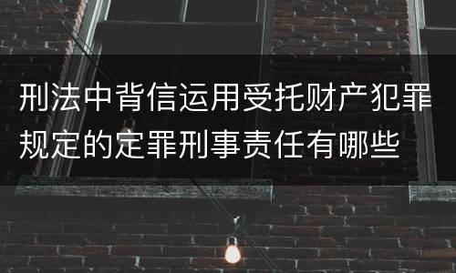 刑法中背信运用受托财产犯罪规定的定罪刑事责任有哪些