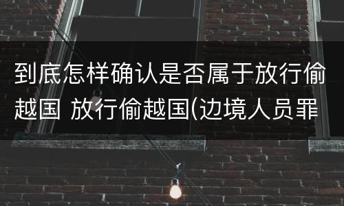 到底怎样确认是否属于放行偷越国 放行偷越国(边境人员罪