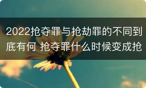 2022抢夺罪与抢劫罪的不同到底有何 抢夺罪什么时候变成抢劫罪