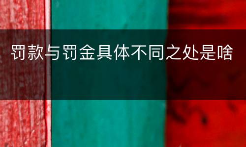 罚款与罚金具体不同之处是啥