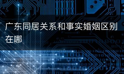 广东同居关系和事实婚姻区别在哪