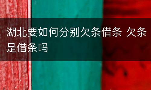 湖北要如何分别欠条借条 欠条是借条吗