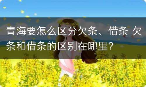 青海要怎么区分欠条、借条 欠条和借条的区别在哪里?