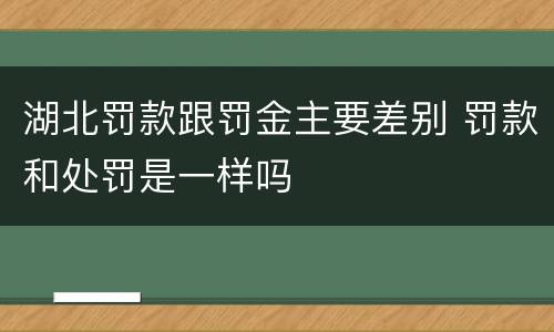 湖北罚款跟罚金主要差别 罚款和处罚是一样吗