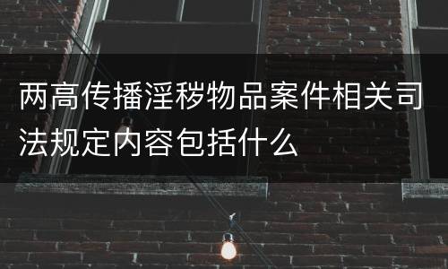 两高传播淫秽物品案件相关司法规定内容包括什么