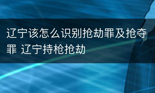 辽宁该怎么识别抢劫罪及抢夺罪 辽宁持枪抢劫