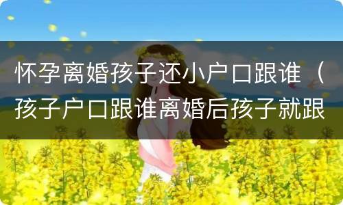 怀孕离婚孩子还小户口跟谁（孩子户口跟谁离婚后孩子就跟谁吗）
