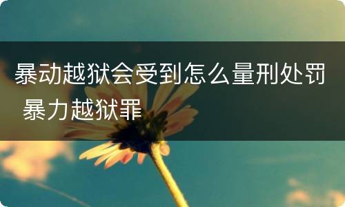 暴动越狱会受到怎么量刑处罚 暴力越狱罪