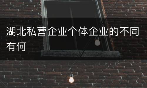 湖北私营企业个体企业的不同有何