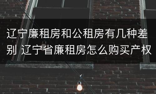 辽宁廉租房和公租房有几种差别 辽宁省廉租房怎么购买产权