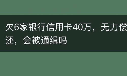 欠6家银行信用卡40万，无力偿还，会被通缉吗