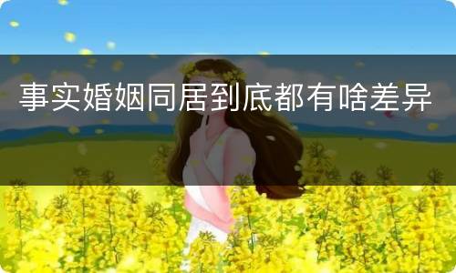 事实婚姻同居到底都有啥差异