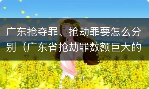 广东抢夺罪、抢劫罪要怎么分别（广东省抢劫罪数额巨大的标准）