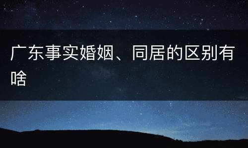 广东事实婚姻、同居的区别有啥