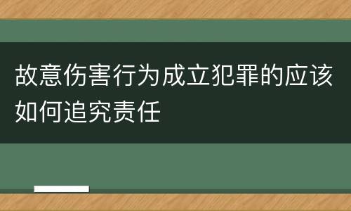 故意伤害行为成立犯罪的应该如何追究责任