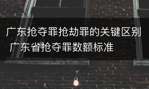 广东抢夺罪抢劫罪的关键区别 广东省抢夺罪数额标准