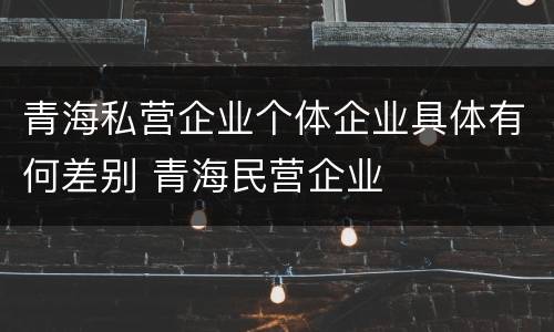 青海私营企业个体企业具体有何差别 青海民营企业
