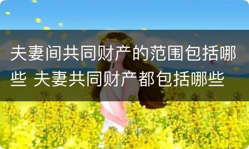夫妻间共同财产的范围包括哪些 夫妻共同财产都包括哪些
