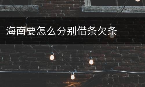 海南要怎么分别借条欠条