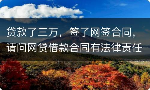 贷款了三万，签了网签合同，请问网贷借款合同有法律责任吗
