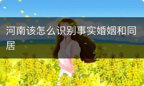 河南该怎么识别事实婚姻和同居