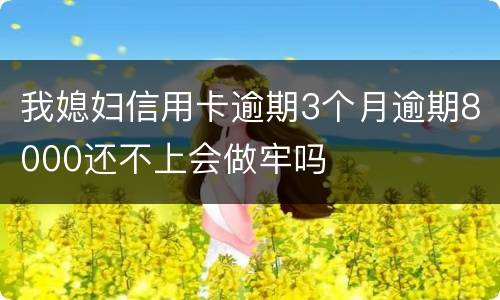 我媳妇信用卡逾期3个月逾期8000还不上会做牢吗