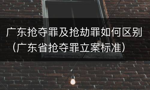 广东抢夺罪及抢劫罪如何区别（广东省抢夺罪立案标准）