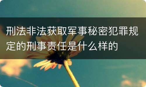 刑法非法获取军事秘密犯罪规定的刑事责任是什么样的