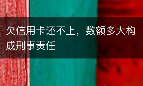 欠信用卡还不上，数额多大构成刑事责任