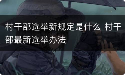 村干部选举新规定是什么 村干部最新选举办法