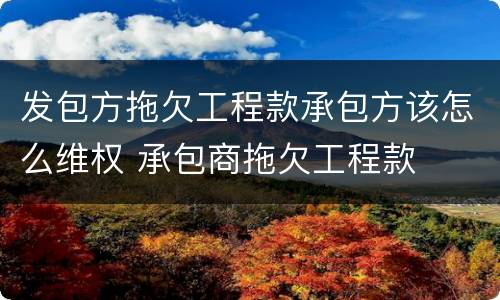 发包方拖欠工程款承包方该怎么维权 承包商拖欠工程款