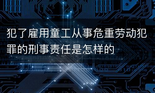 犯了雇用童工从事危重劳动犯罪的刑事责任是怎样的