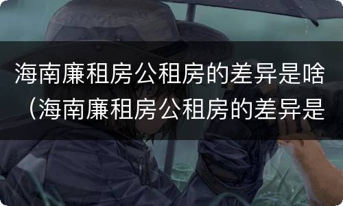 海南廉租房公租房的差异是啥（海南廉租房公租房的差异是啥啊）