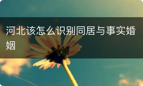 河北该怎么识别同居与事实婚姻